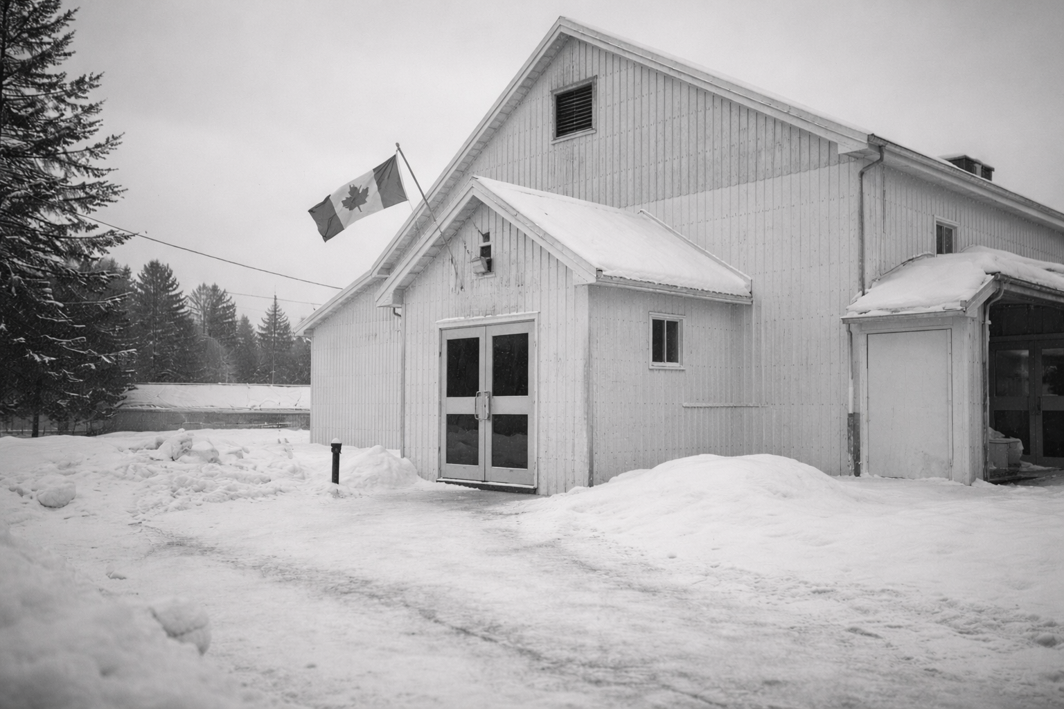 Community members enjoying activities at TCCC